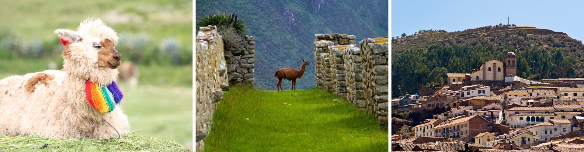 Cusco Cusco WOLO Travel